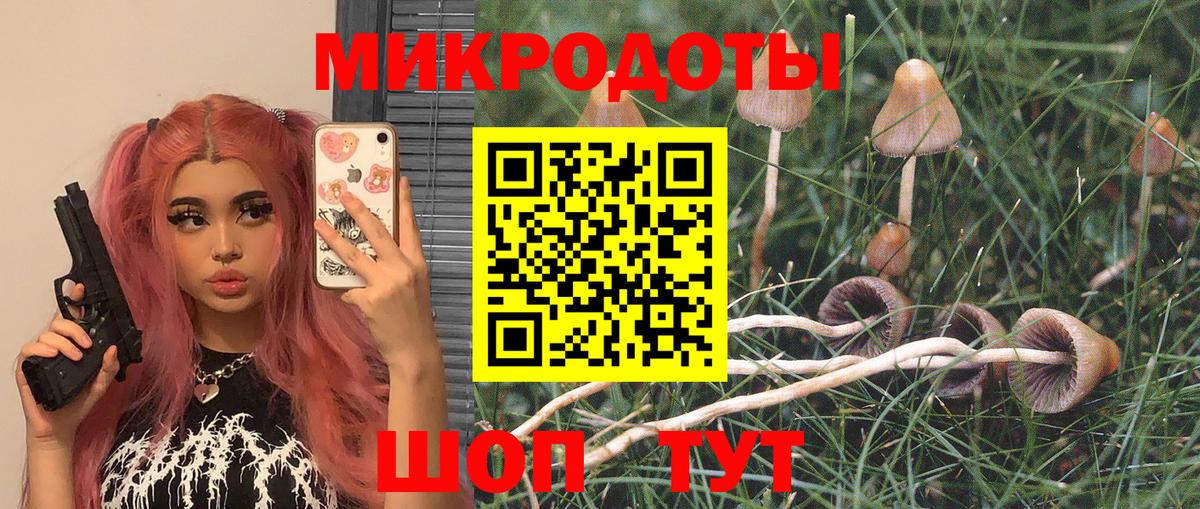Псилоцибиновые грибы мицелий Серов