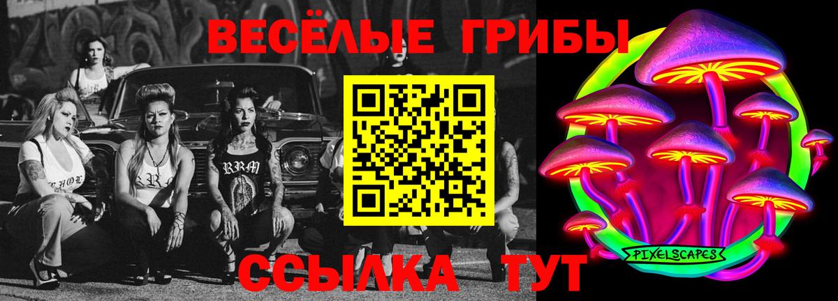 Псилоцибиновые грибы GOLDEN TEACHER  Вход с VPN  Серов  Псилоцибиновые грибы Cubensis 